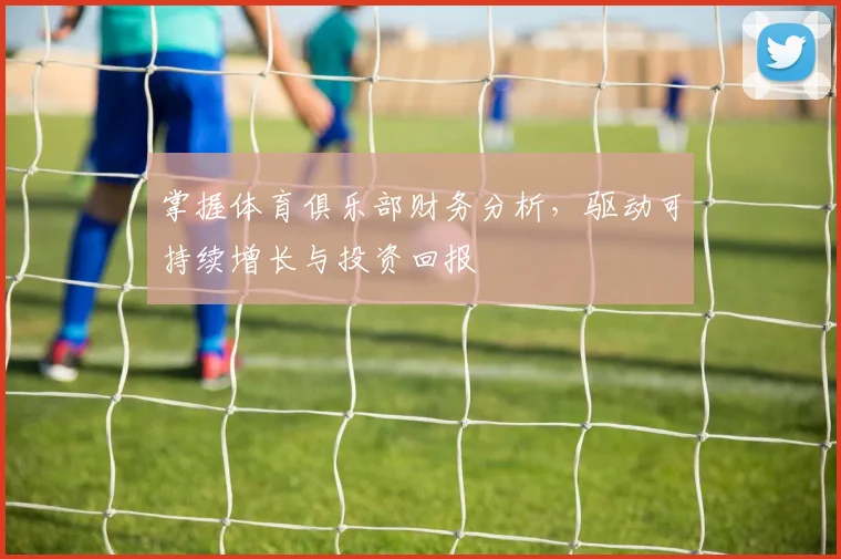 掌握体育俱乐部财务分析,驱动可持续增长与投资回报